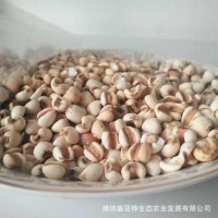 廠(chǎng)家現(xiàn)貨低溫烘焙熟小薏米磨粉 熟小薏米 廠(chǎng)家現(xiàn)貨熟薏米