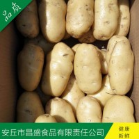 供應(yīng)出口級保鮮土豆（價(jià)格面議）