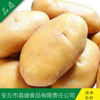供應(yīng)出口中東、東南亞級保鮮荷蘭7號、15號（價(jià)格面議）