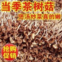 茶樹菇干貨 農家特優新貨香菇干貨特產茶新菌菇家用煲湯批發散裝