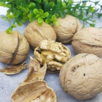 廠家批紙皮核桃干果堅果零食休閑食品 一件代發 包郵