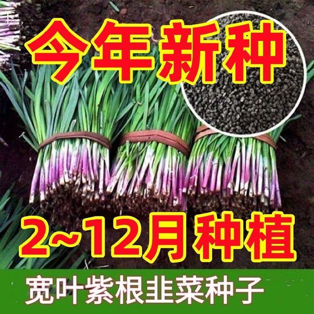 O1CN01qRPD3N2L5B9mgWUDT_!!2220355669640-0-cib
