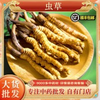 冬蟲(chóng)夏草批發(fā)蟲(chóng)草干貨藏區(qū)蟲(chóng)草無(wú)斷條冬蟲(chóng)夏草西藏挑選蟲(chóng)草代發(fā)