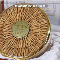 西藏冬蟲(chóng)夏草干貨批發(fā) 頭期高海拔蟲(chóng)草禮盒裝 多規(guī)格干蟲(chóng)草無(wú)斷草