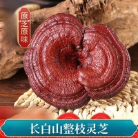 中藥材長白山原生態(tài) 整個靈芝 林芝 500克35元 有靈芝草 靈芝片
