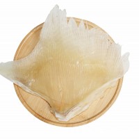 廠家批發(fā)天九翅魚(yú)翅海狗翅海鮮煲湯蒲魚(yú)翅天星翅電商零售海鮮干貨