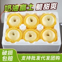 山東水果供應代發(fā)煙臺蘋果黃金奶油富士整箱應季新鮮水果蘋果批發(fā)