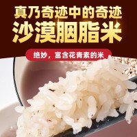 新疆察布查爾沙漠胭脂米 綠色種植大米天山雪水灌溉 代發新疆大米