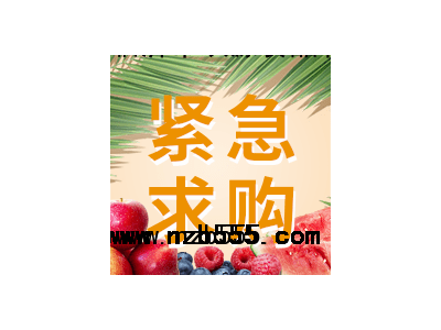 采購品種：枸杞苗