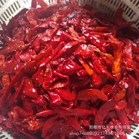 出口、批發(fā) 、廠家批發(fā)、出口 鹽漬辣椒 、辣椒醬 10噸