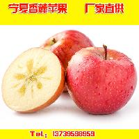 xianglu188880809025 (1)