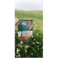 新疆小米堅果開創(chuàng)堅果新吃法 挑戰(zhàn)你的味蕾 5袋