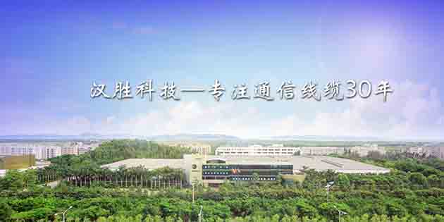 熱烈慶祝漢勝科技SAP ERP項(xiàng)目成功上線(xiàn)