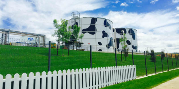 SAP助蒙牛打造“世界?！? /><span></span>
								</a>
							</div>
						</div>
					</div>
					<div   id=