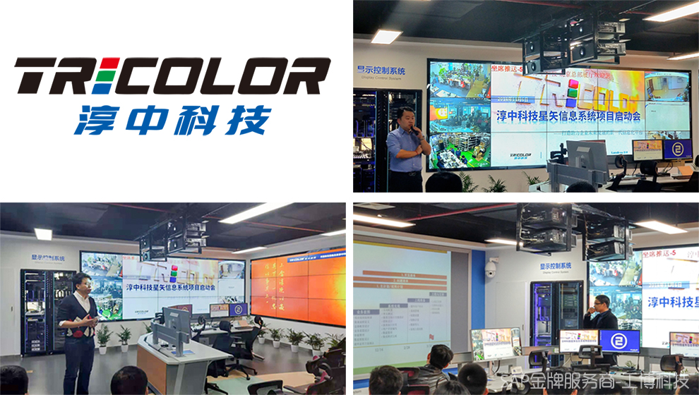 淳中科技管理系統(tǒng),SAP S4HAHA,淳中科技SAP,淳中科技ERP