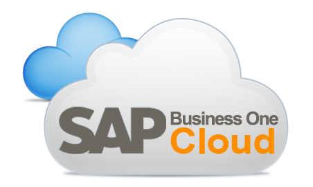 SAP Business One Cloud 解決方案簡(jiǎn)介