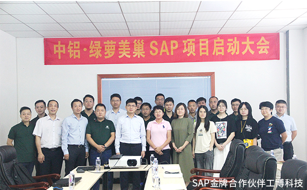 美巢家居ERP,綠蘿美巢ERP,中國鋁業(yè)集團ERP,SAP Business One系統(tǒng)，中鋁·綠蘿美巢SAP ERP項目