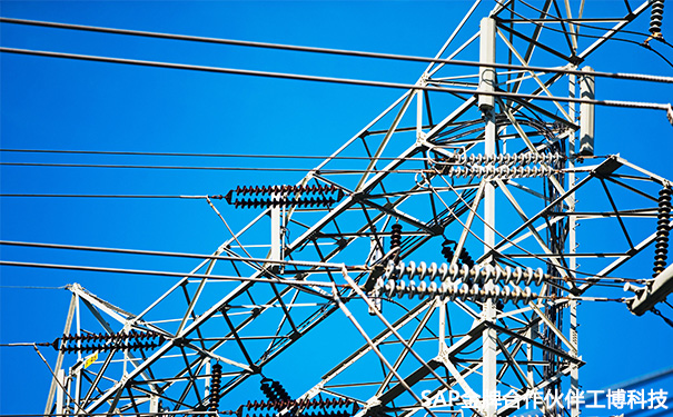 SAP電纜電纜行業(yè)ERP系統(tǒng)