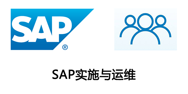 選擇SAP實(shí)施商時(shí)需要注意什么？