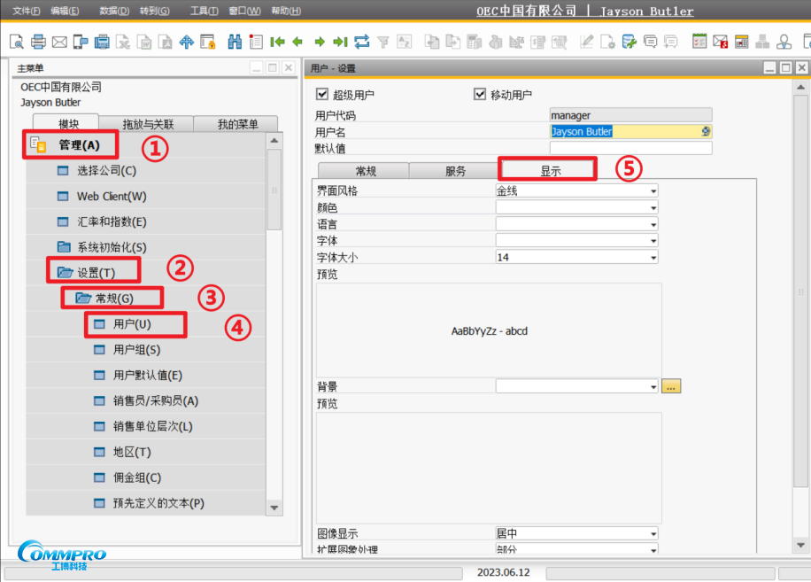 SAP B1用戶界面設(shè)置