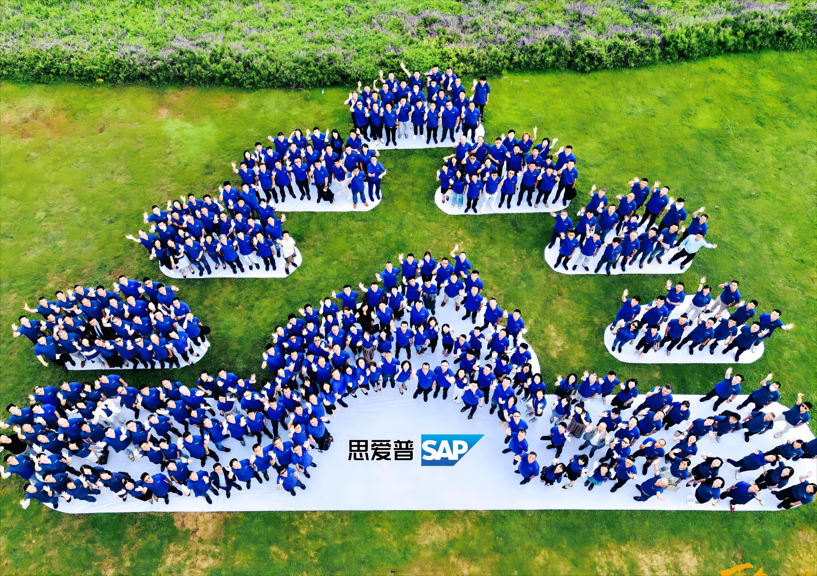 SAP在國內(nèi)的服務(wù)商有哪些？