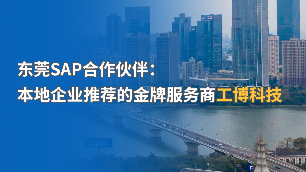 東莞SAP本地化服務(wù)商推薦，哪家更專業(yè)？