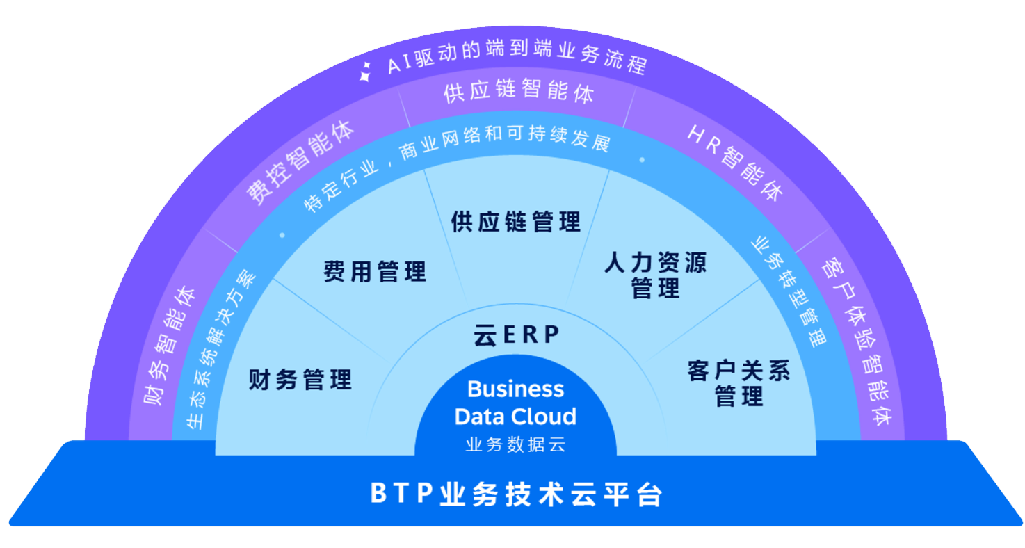 什么是SAP Business Suite？