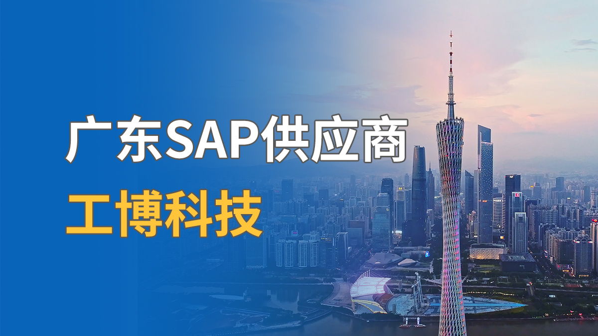 廣東SAP廠家推薦